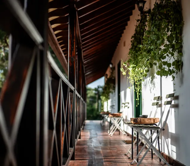 Facilities & Services